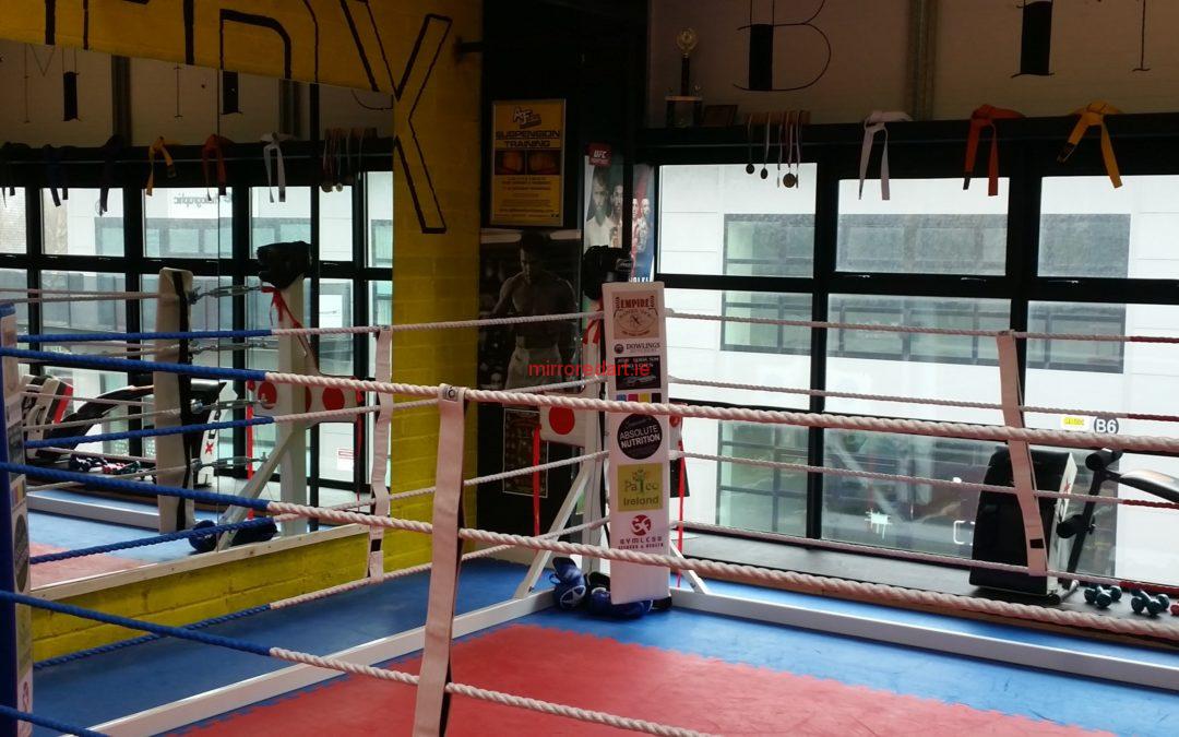 Mirrors for a Mixed martial arts studio